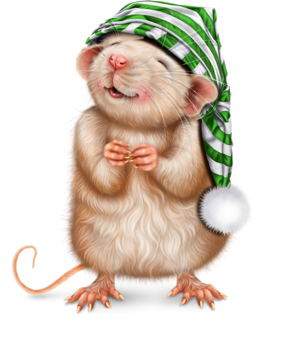 ❄️ Tube png rat, souris, dessin - Xmas rat clipart ❄️