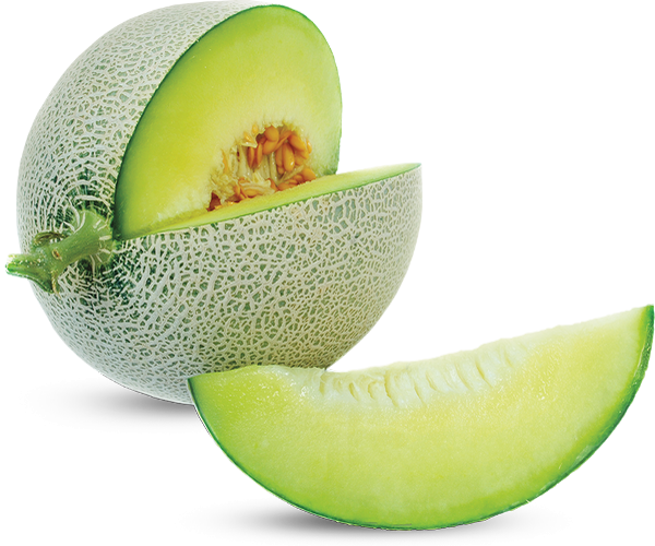 Melon png, tube fruit / Melone / Melon transparent png