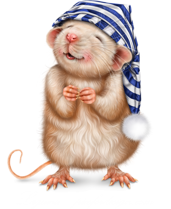 ❄️ Tube png rat, souris, dessin / Xmas rat clipart ❄️