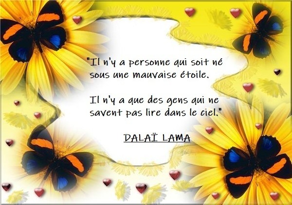 IL N'Y A PERSONNE....