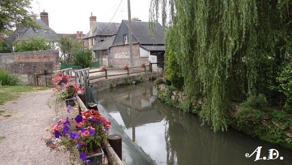 BEUVRON EN AUGE : LES BORDS DU DOIGT