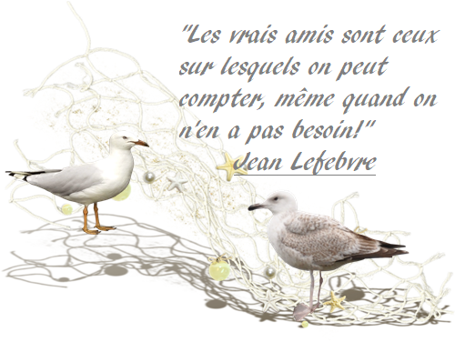 LES VRAIS AMIS...