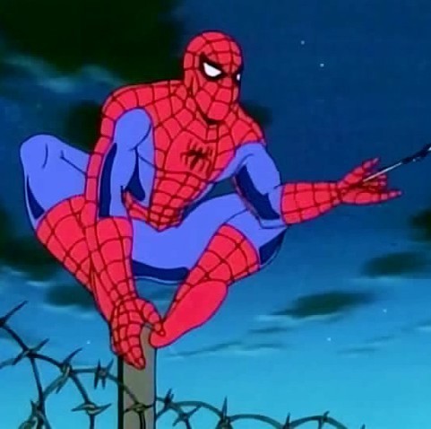 Spider Man, l'homme araignée