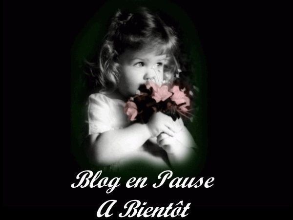 Blog en pause