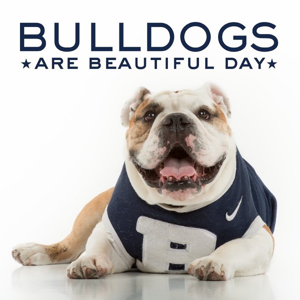 "Bulldogs Are Beautiful Day"   ...