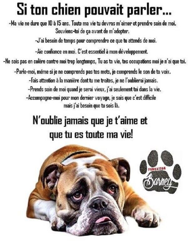 "Si ton chien pouvait parler... " ...