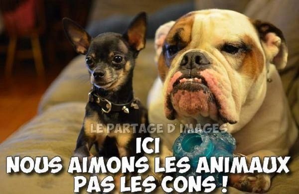 "Ici nous aimons les animaux pas les cons!" ...