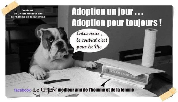 "Adoption un jour... Adoption pour toujours! ..." ...