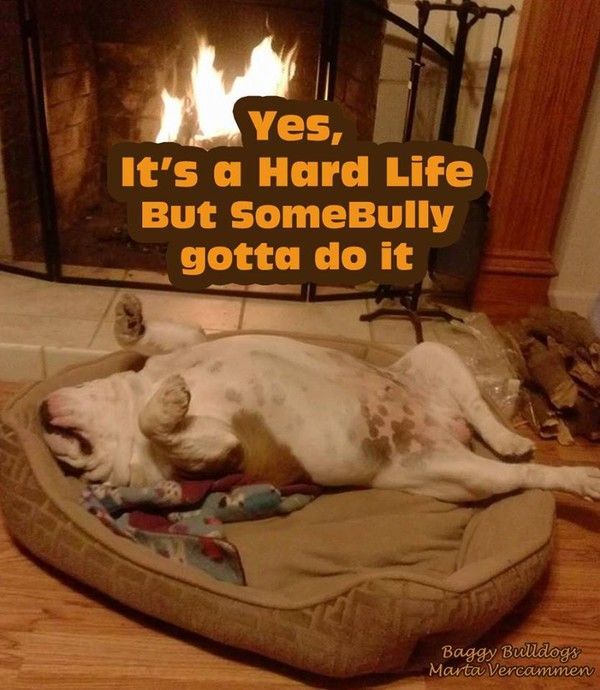 "Yes, it's a hard life but somebully gotta do it"...