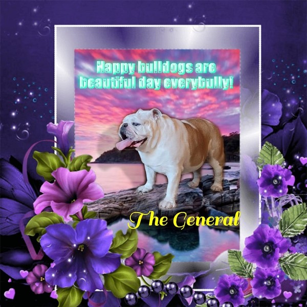 "Happy bulldogs are beautiful day everybully!"   ...