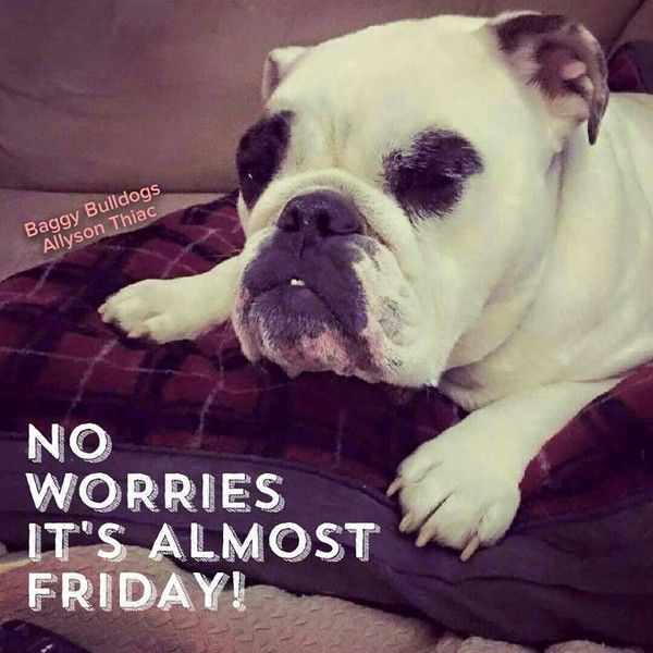 "No worries it's almost friday!" - C'est rassurant ...