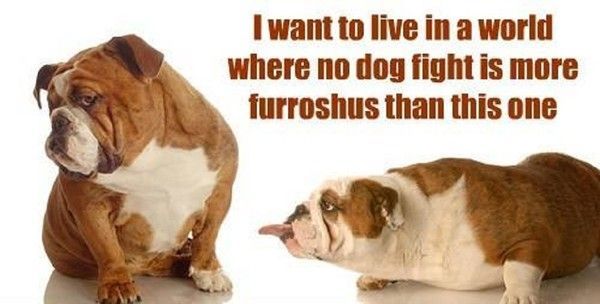 "I want to live in a world where no dog fight..."...