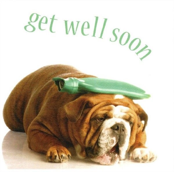 "Get well soon" - Bon rétablissement ...