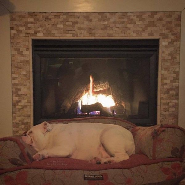 Rien de mieux qu'une bonne sieste au coin du feu...