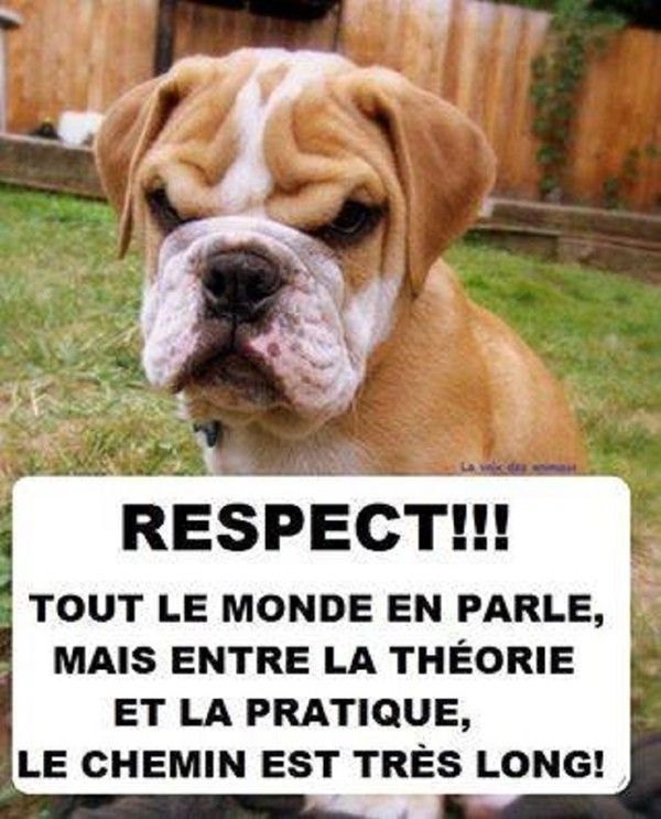 "Respect!!! Tout le monde en parle, mais..."...