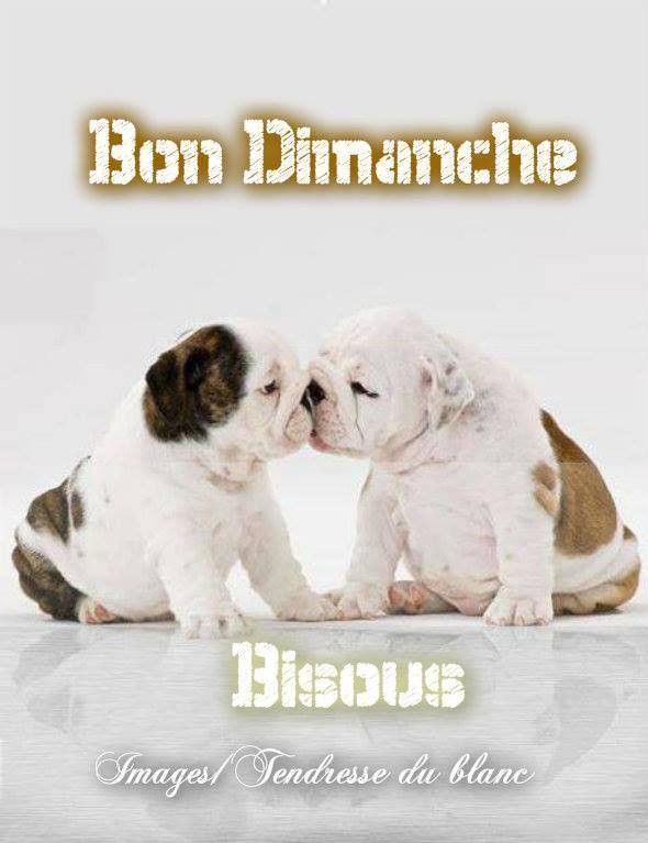 "Bon dimanche. Bisous" - 2 bébés câlins...