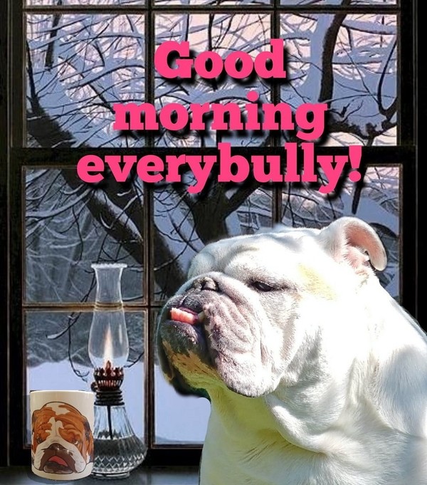 "Good Morning Everybully!" - Brrr... Il fait froid!   ...