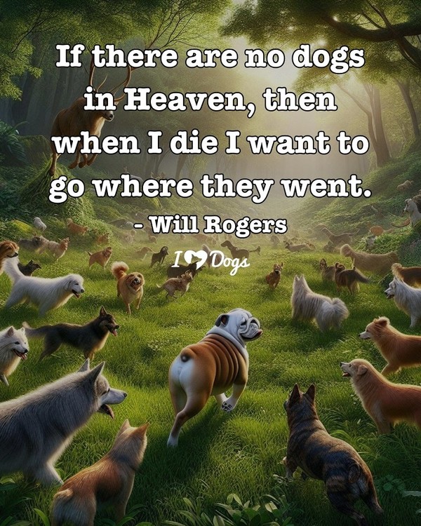 "If there are no dogs in Heaven, then when I die   ..."...