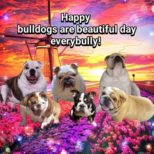 "Happy bulldogs are beautiful day everybully!"   ...