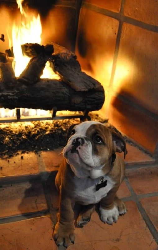 Quoi je suis trop près du feu? Mais, je suis bien...