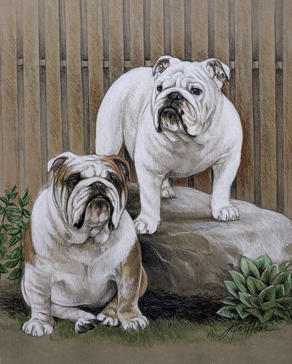 Par Jeane TERHAAR   "Boomer & Poppy"   ...