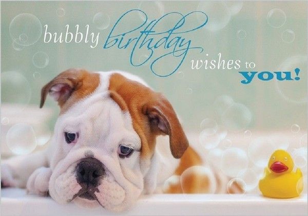 "Bubbly birthday wishes to you!" - Dans son bain ...