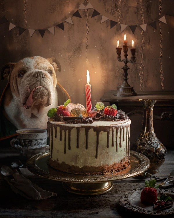 Une ambiance feutrée et un magnifique gâteau   ...