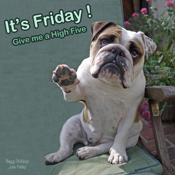 "It's Friday! Give me a high five" ...