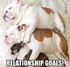 "Relationship goals!" - Objectifs relationnels! ...