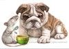 Par Aleksander ALEXOV "English Bulldog Rat" ...