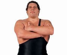 ANDRE ROUSSIMOFF ALIAS "ANDRE THE GIANT"(1946-1993)