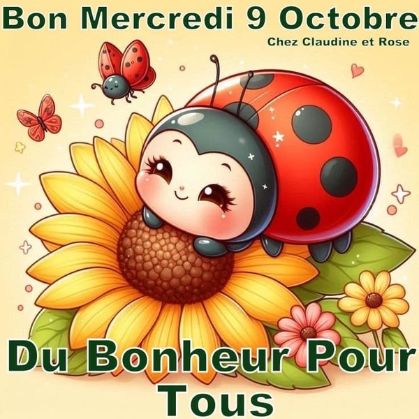 bonjour a vous  !!!