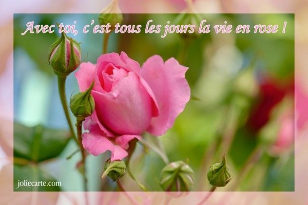 Avec toi je vois la vie en rose !