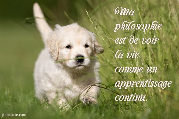 Une  philosophie de vie !