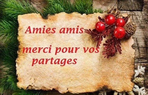   27 762 novembre 2022merci amies amis , pour vos créas