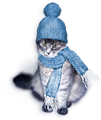 Tubes de chats , oiseaux ,lapins  d'Hiver