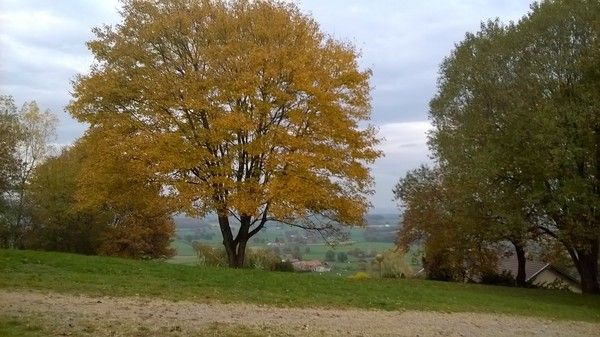 Le parc Pierre Massal à Sanvignes les Mines Bourgogne