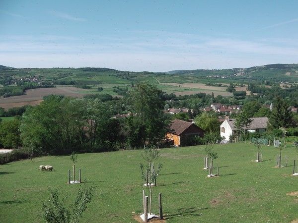 Saint Martin en Bourgogne