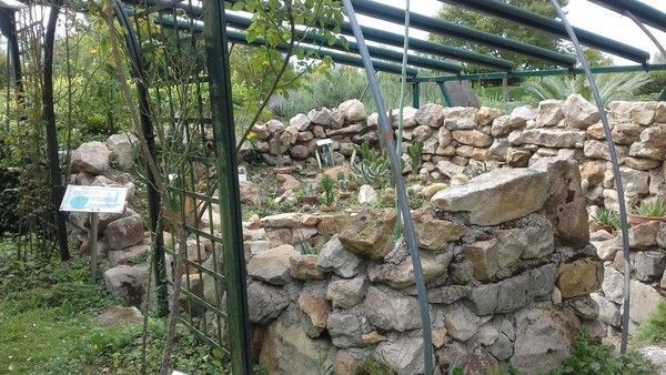 Jardin Botanique de Marnay-sur-Seine dans l'Aube 