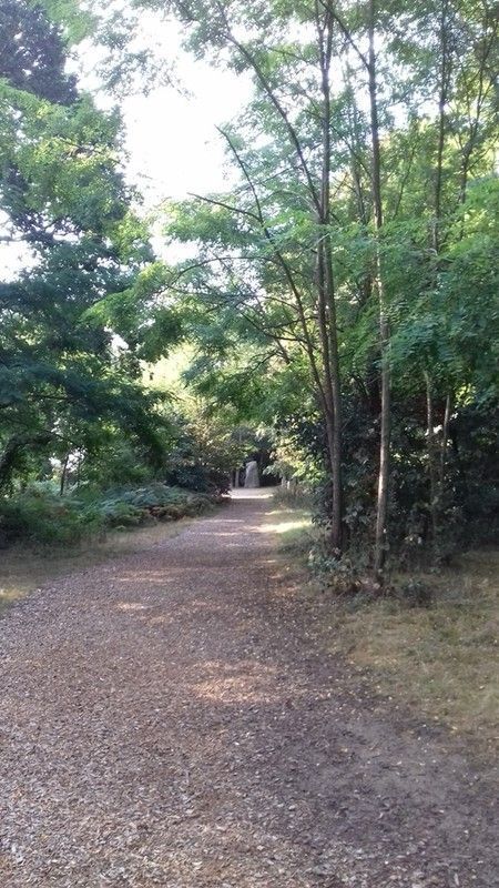 Forêt de la Pierre Attelée, Saint-Brévin les Pins