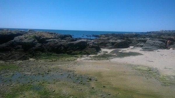 Photos de Batz-sur-Mer dans la Loire Atlantique