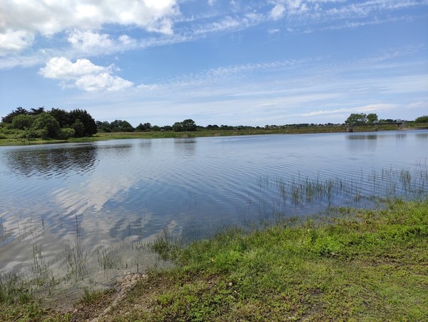 Etang des Gatineaux Saint-Michel Loire Atlantique