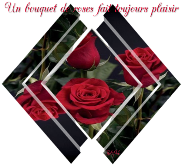 Cueillez dès aujourd'hui les roses de la vie Poème