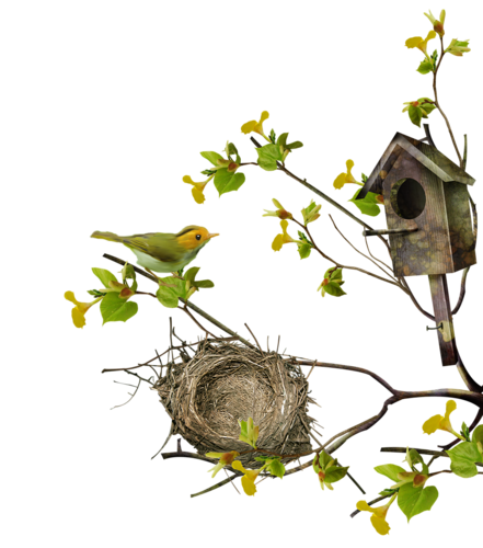 Tube de maison d'oiseaux pour vos créations