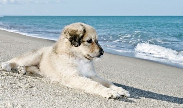 Allez c'est le week-end repos et détente