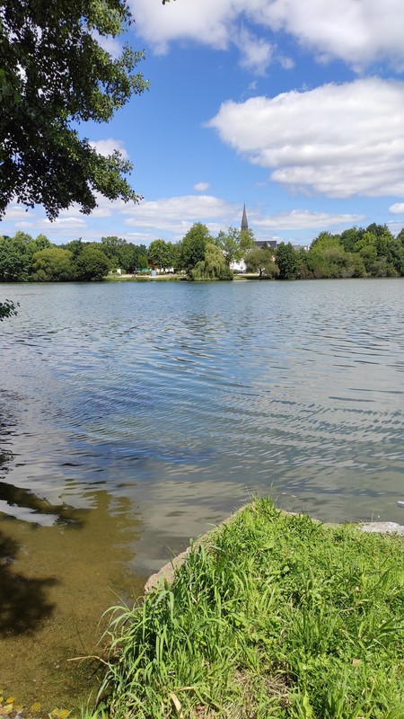 L'étang du bois Joalland dans la Loire Atlantique