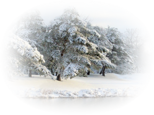 Tube de paysage d'hiver