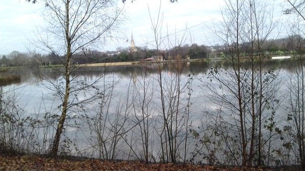 Photos de l'étang de Bahel à Plessé Loire Atlantique