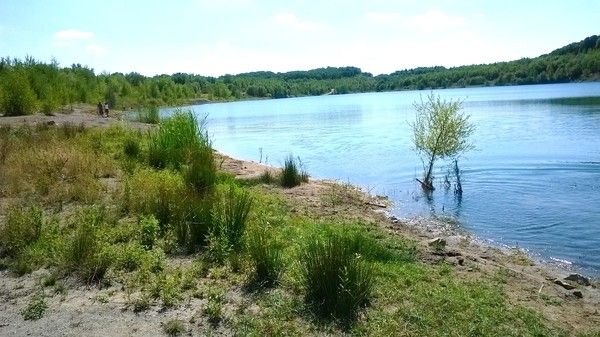 Le lac de Saint Emédée à Sanvignes en Bourgogne