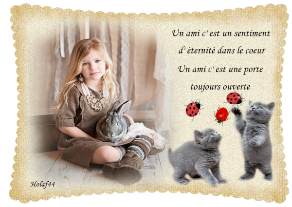 Citations sur les chats